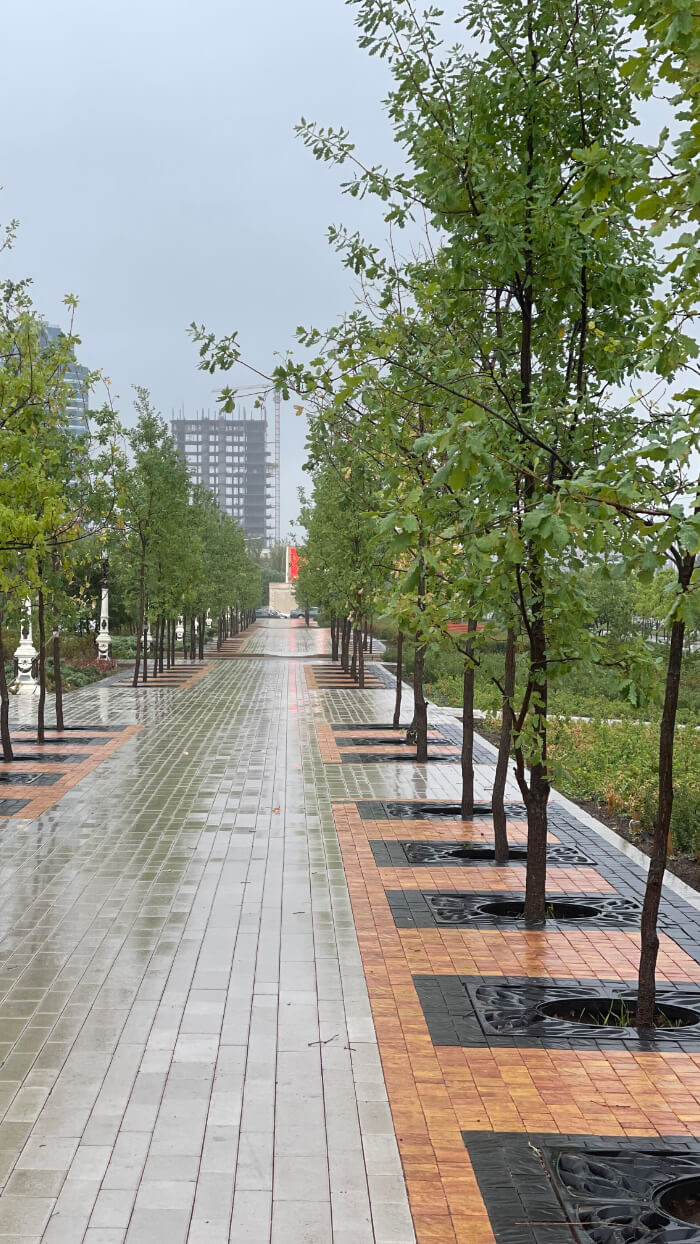 Приствольная решетка для дерева ZKING CRUST 1.2х1.2м Черная в Чайковском фото